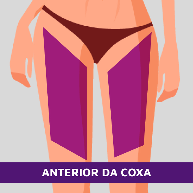 Anterior da coxa