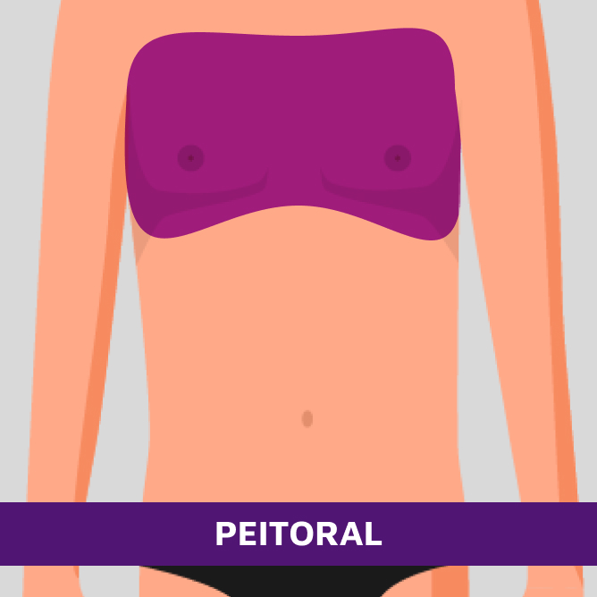 PEITORAL