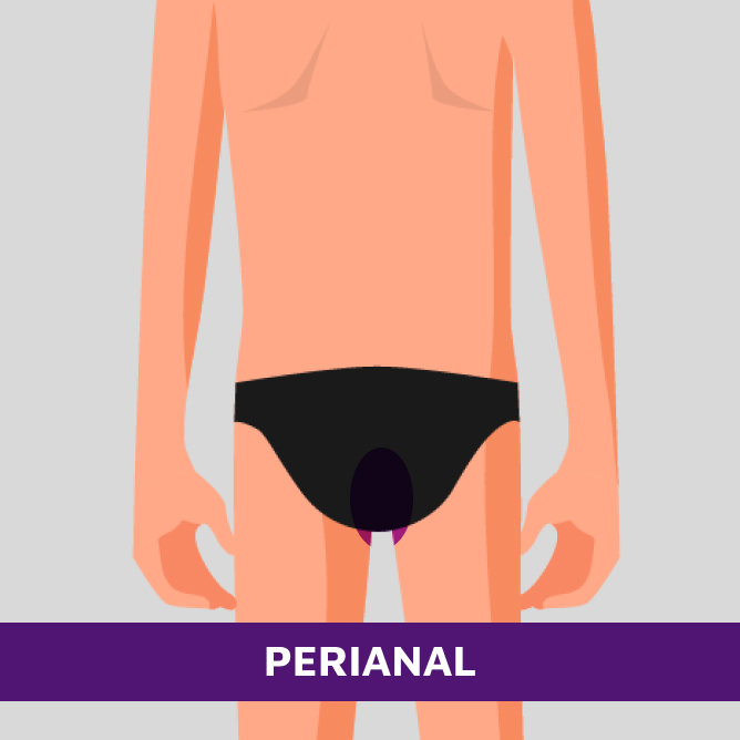PERIANAL